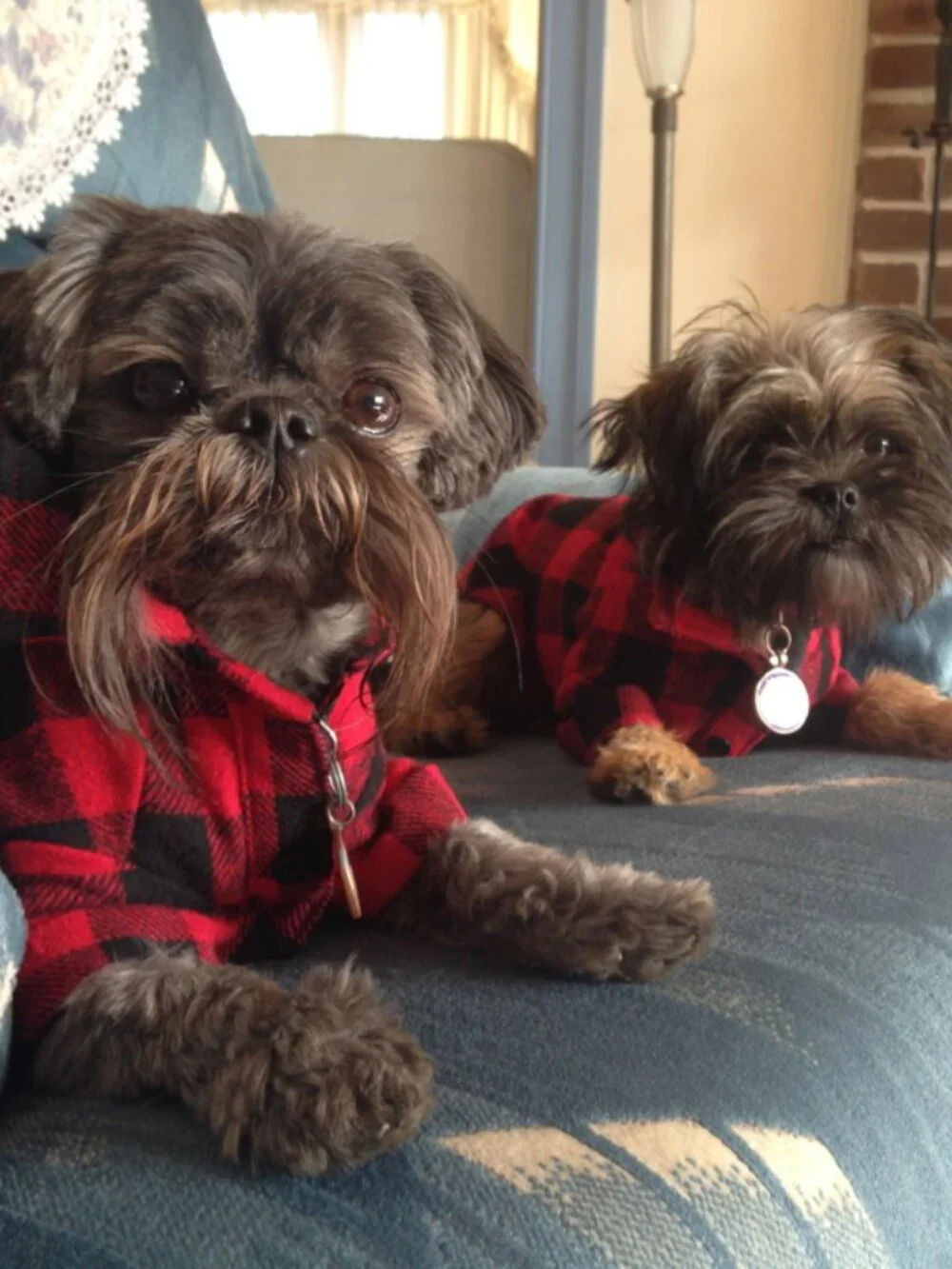 Buffalo Plaid Dog Shirt